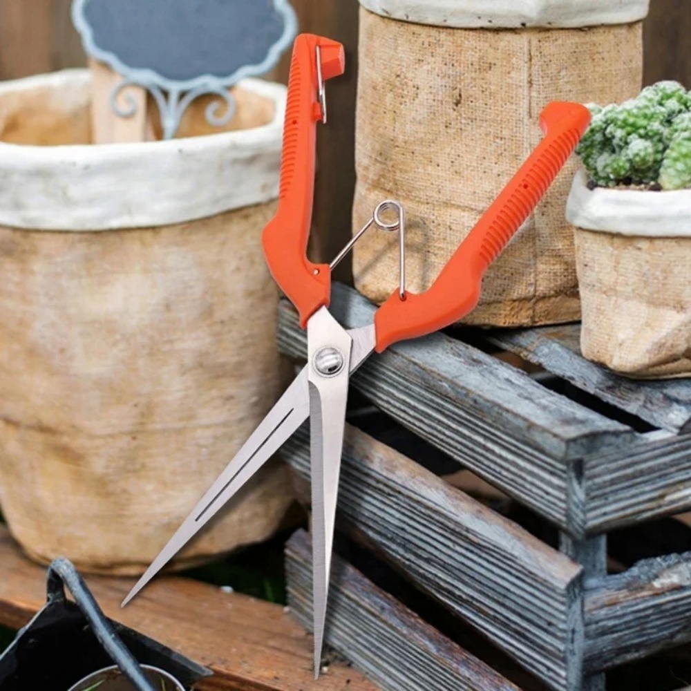 Bonsai Garden Knife - プロの庭の剪定鋏ステンレス鋼盆栽はさみポータブル果物摘みはさみハンドツールガーデニングツール