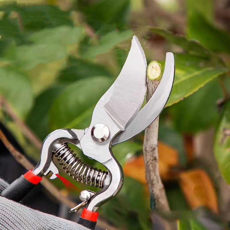 剪定ばさみ 庭用はさみ 接ぎ木ツール SK5合金鋼刃1個入り - Bonsai Garden Knife のレビューと価格