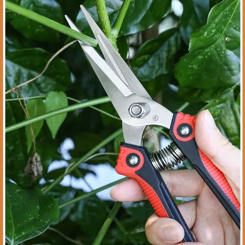 ニュースシャーク ステンレス鋼剪定鋏 シャープな枝切り鋏 滑 - Bonsai Garden Knife のレビューと価格