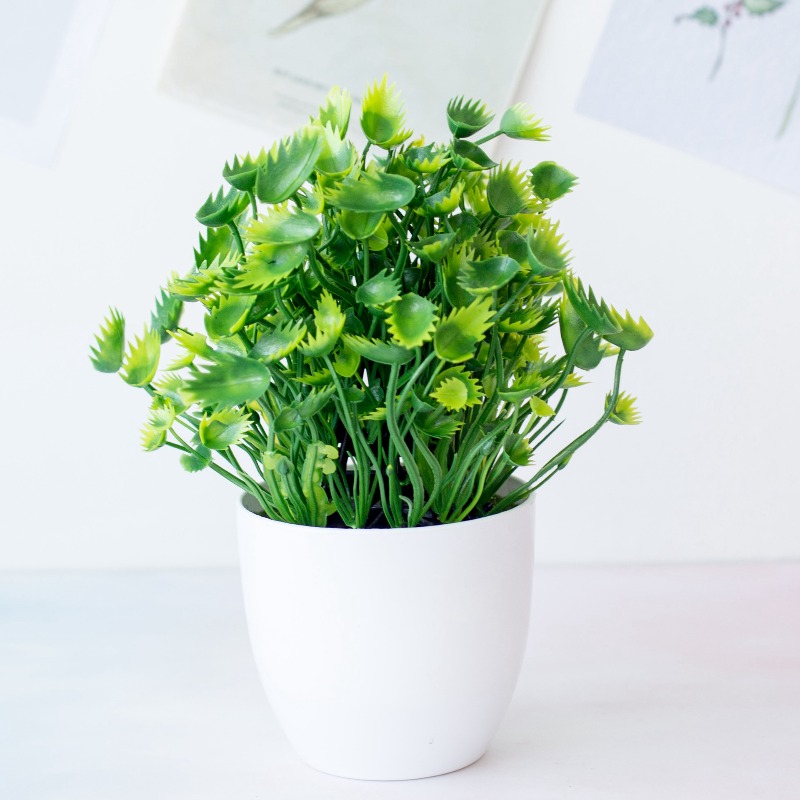 1個入り グリーン人工植物 プラスチック盆栽 クラフト ホー - Bonsai Garden For Desk のレビューと価格