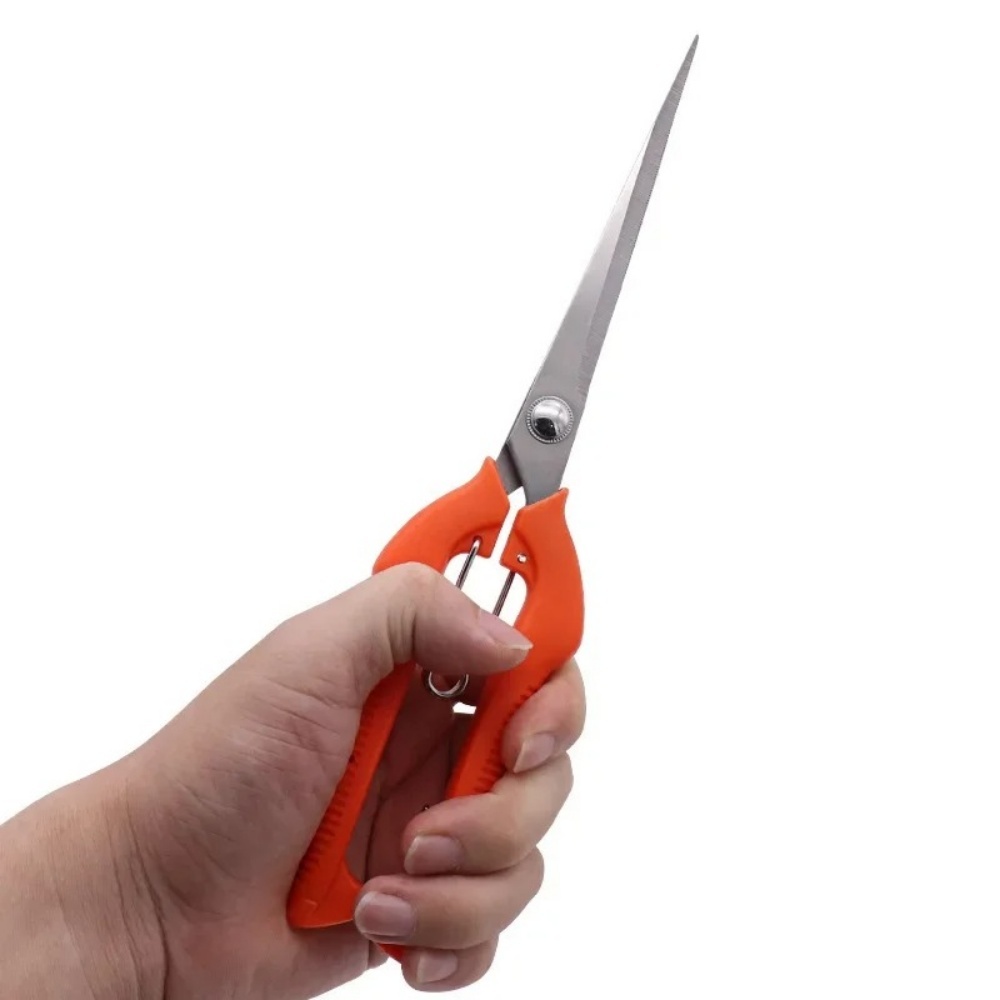 プロの庭の剪定鋏ステンレス鋼盆栽はさみポータブル果物摘みはさ - Bonsai Garden Knife のレビューと価格