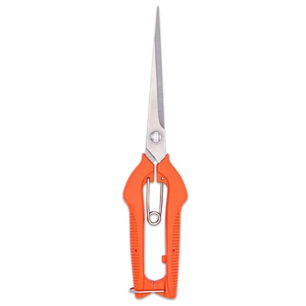 プロの庭の剪定鋏ステンレス鋼盆栽はさみポータブル果物摘みはさ - Bonsai Garden Knife のレビューと価格
