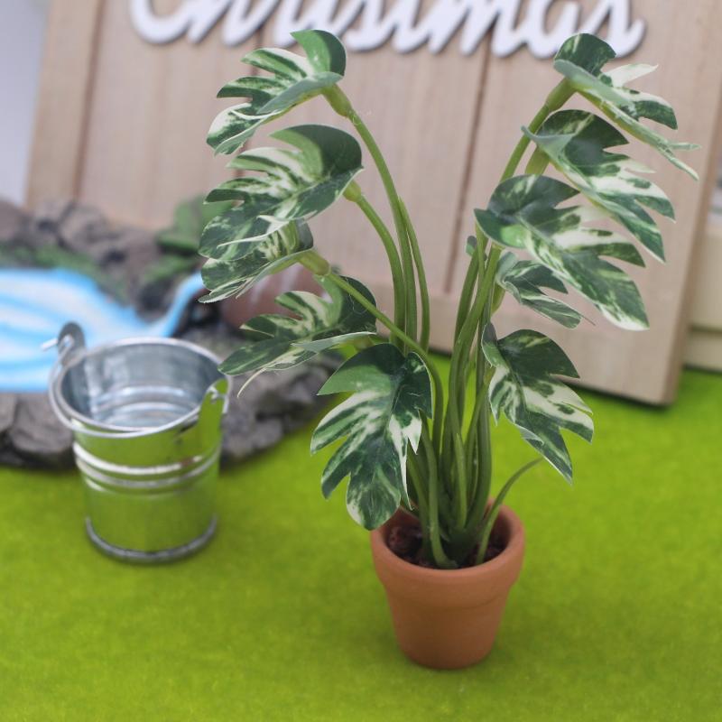 ホットセール 1/12 ドールハウス シミュレーション モン - Bonsai Garden For Sale のレビューと価格