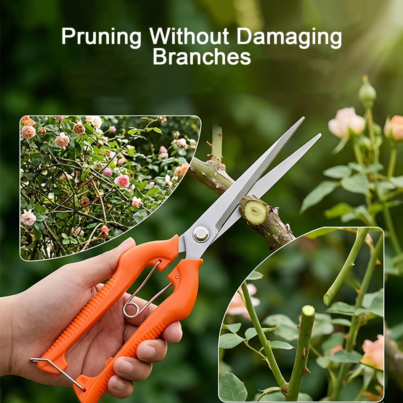 剪定鋏 葡萄鋏 園芸工具 野菜畑 盆栽 プロ仕様 ステンレス - Bonsai Garden Knife のレビューと価格