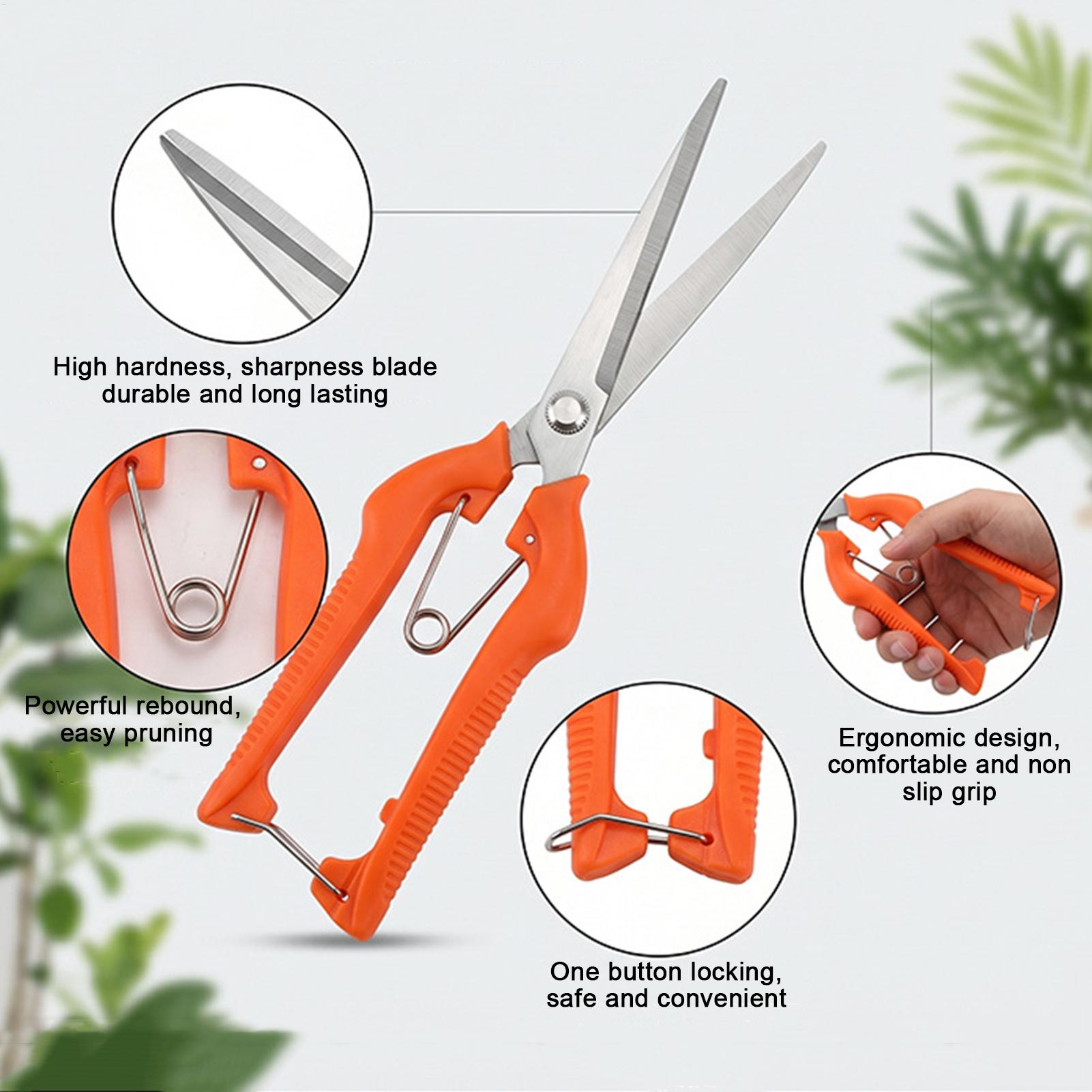 剪定鋏 葡萄鋏 園芸工具 野菜畑 盆栽 プロ仕様 ステンレス - Bonsai Garden Knife のレビューと価格