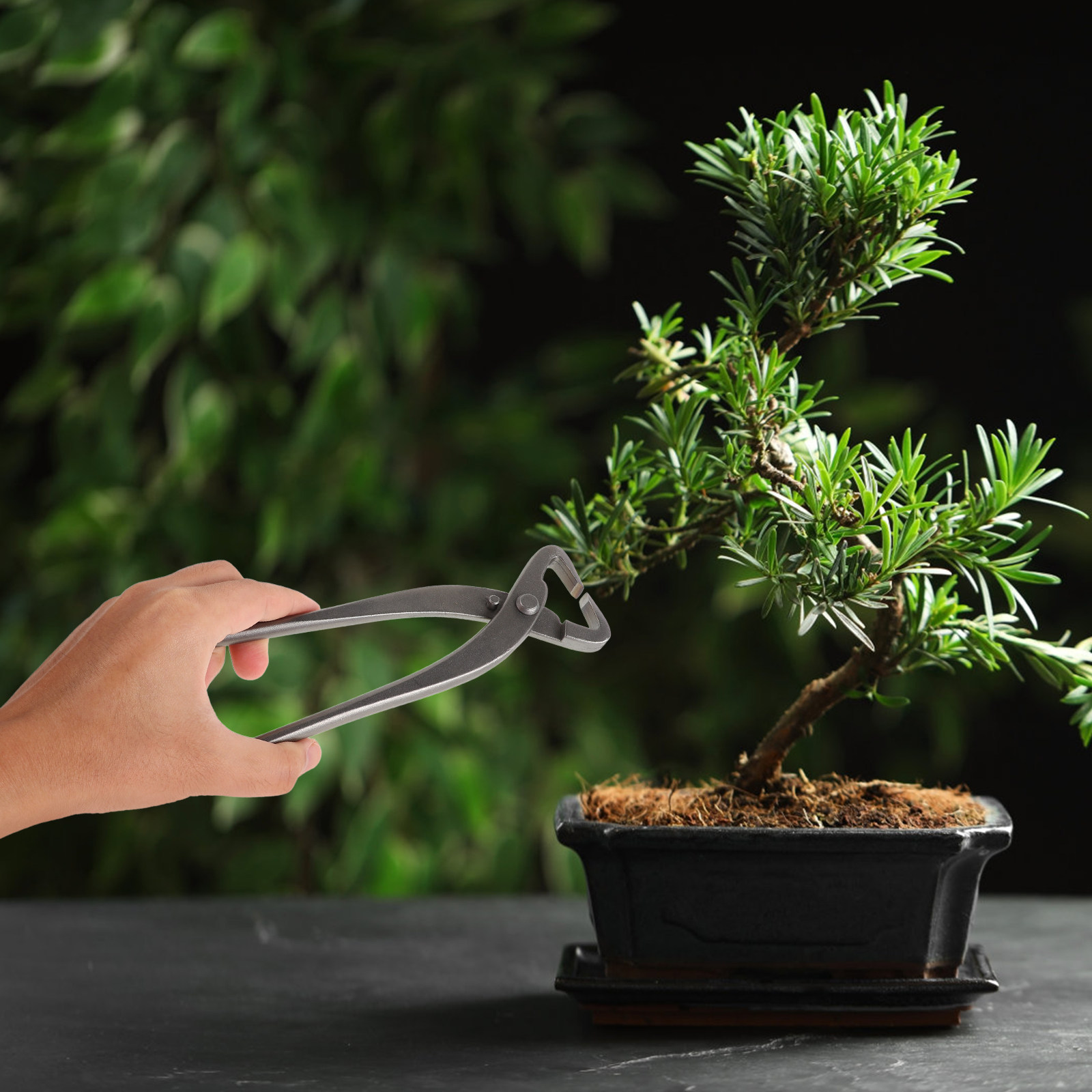 盆栽剪定鋏、枝割り鋏、盆栽の形作り、トリミング、曲げ加工、彫 - Bonsai Garden Knife のレビューと価格