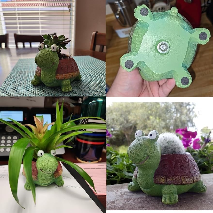 かわいいカメプランタージューシーな盆栽サボテン植物ポット女の - Bonsai Garden For Desk のレビューと価格