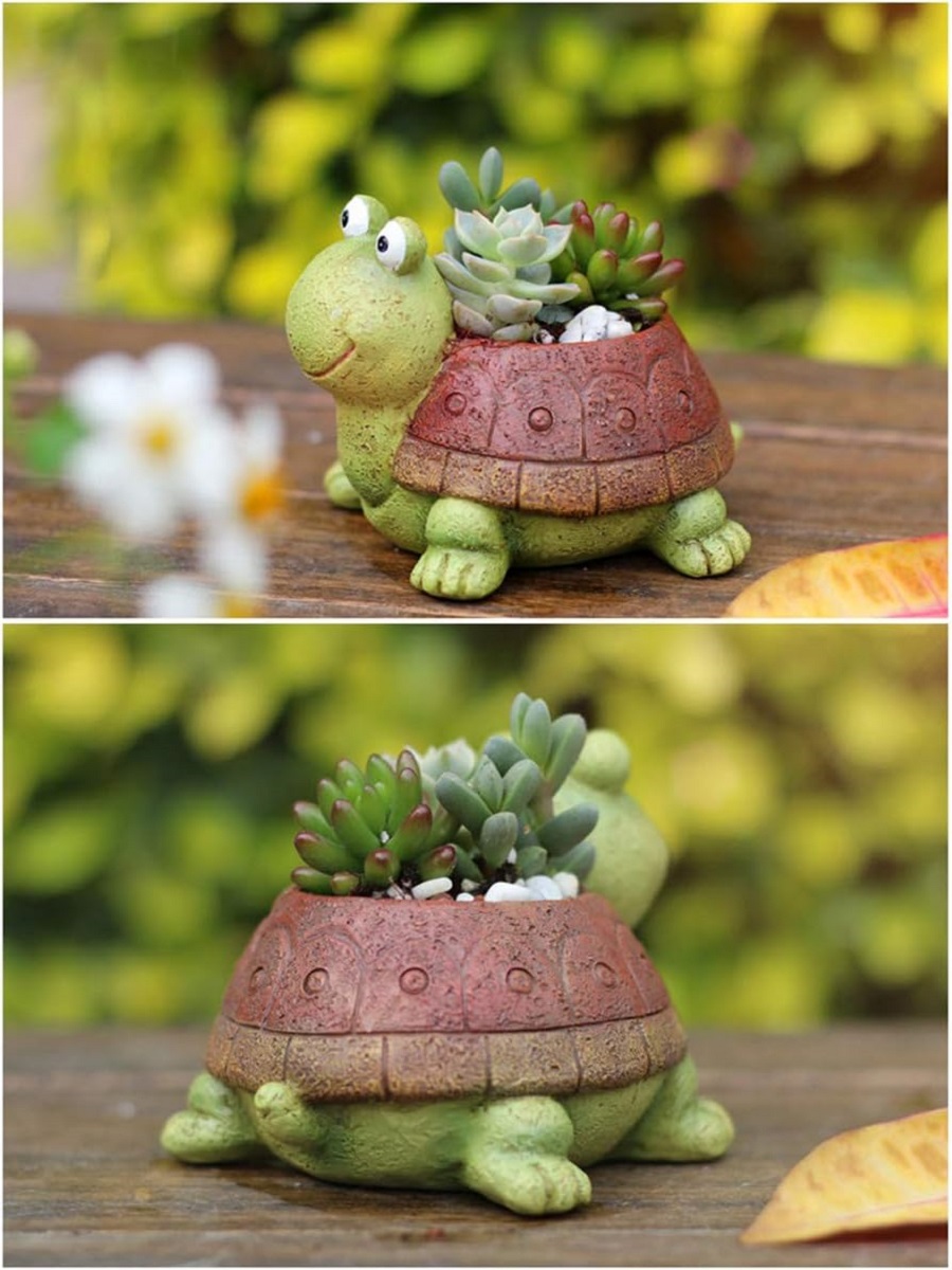 かわいいカメプランタージューシーな盆栽サボテン植物ポット女の - Bonsai Garden For Desk のレビューと価格