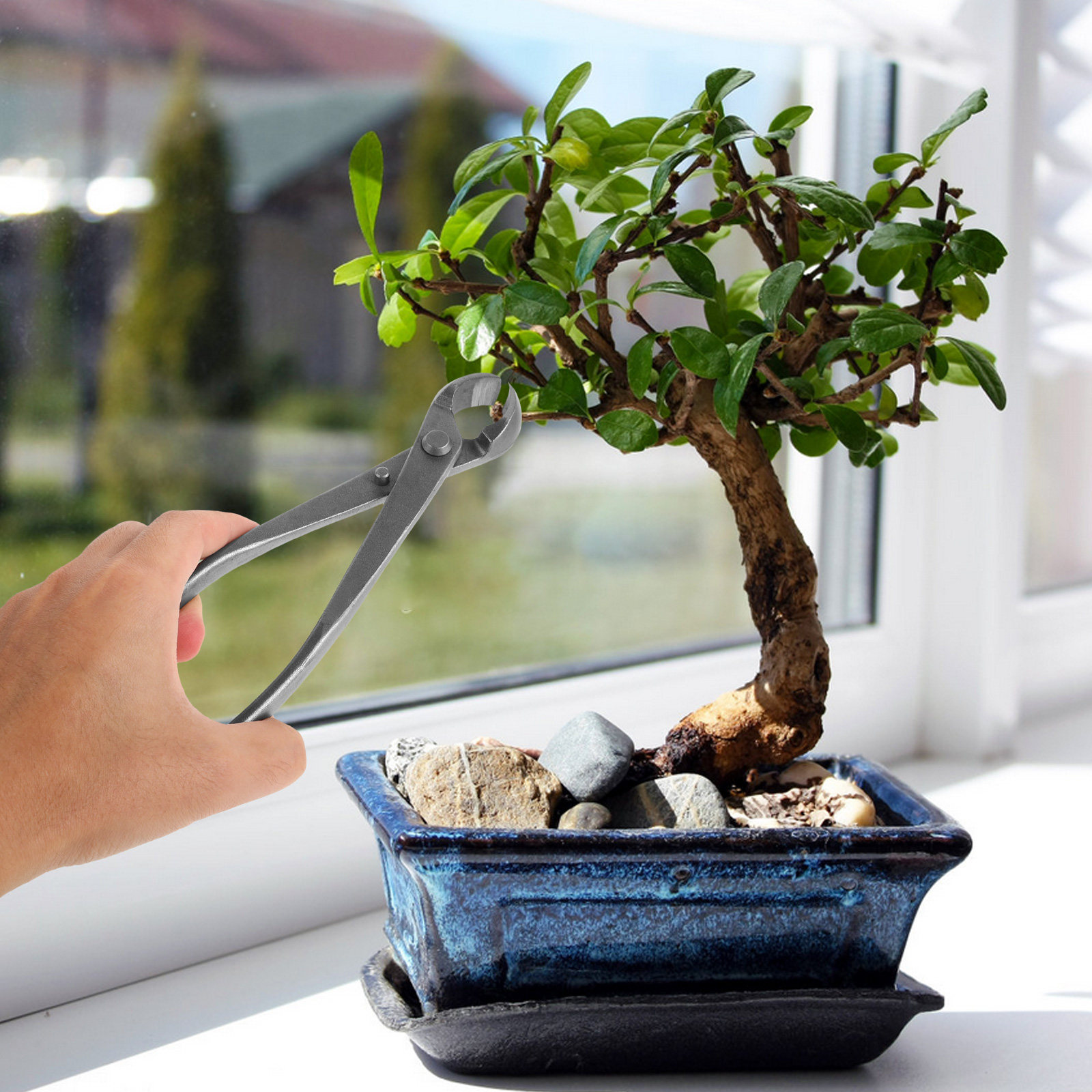 盆栽整形用炭素鋼製ヘッジシザー、精密凹型剪定ばさみ、盆栽曲げ - Bonsai Garden Knife のレビューと価格
