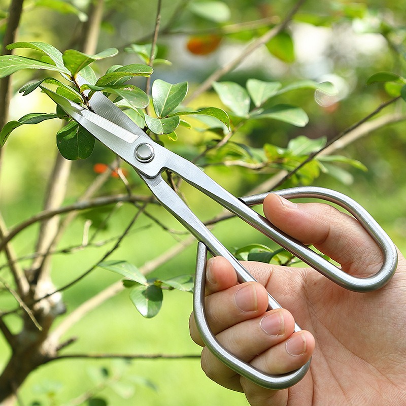 柔らかい葉用ハサミ 盆栽道具 枝切りハサミ 延長ステンレス鋼 - Bonsai Garden Knife のレビューと価格