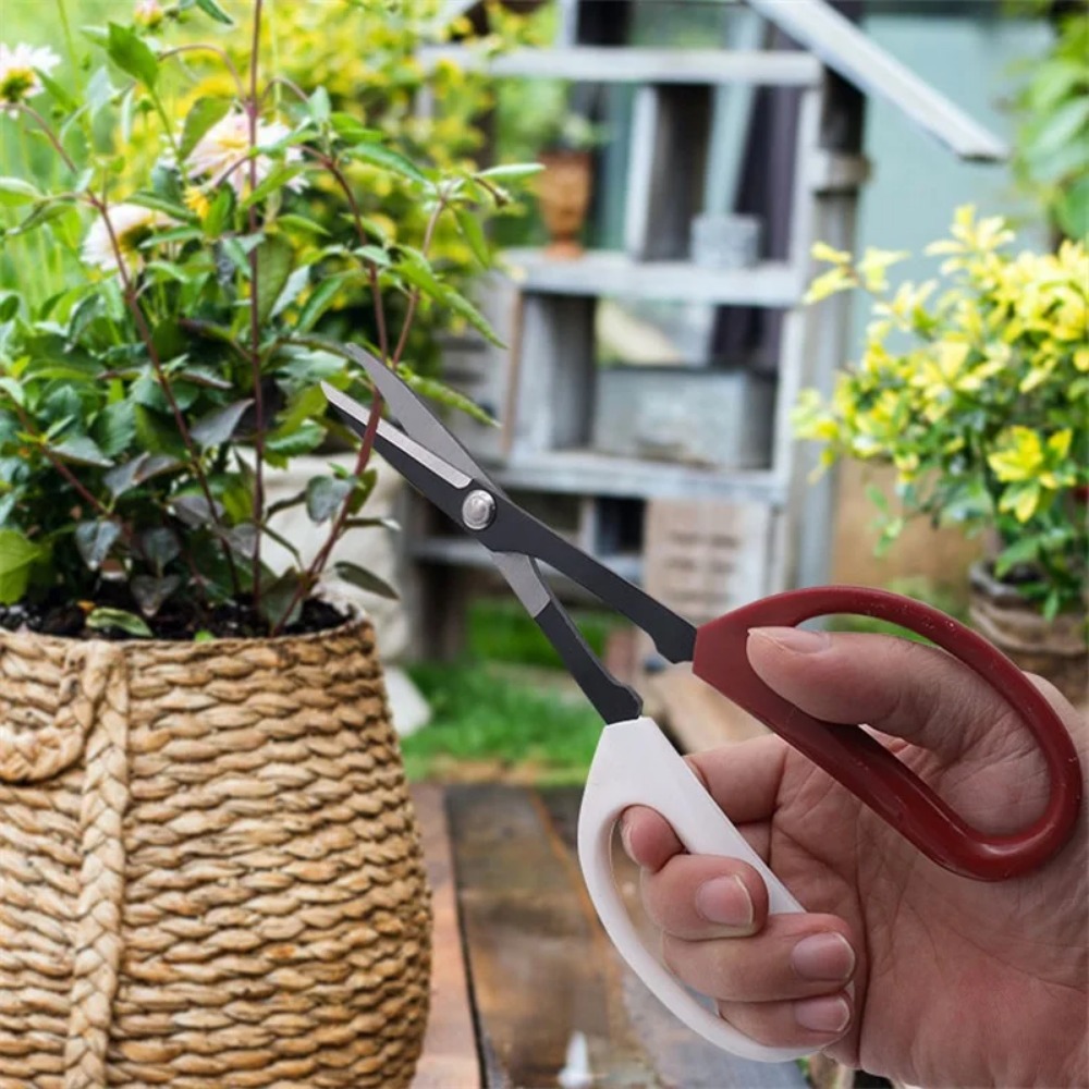 ガーデニング、盆栽ツール、植物の枝の毛、庭の剪定ツール用の長 - Bonsai Garden Knife のレビューと価格