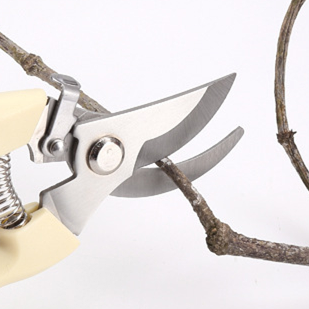 剪定鋏ハンドツール盆栽園芸用ステンレス鋼剪定鋏はさみ花枝草 - Bonsai Garden Knife のレビューと価格