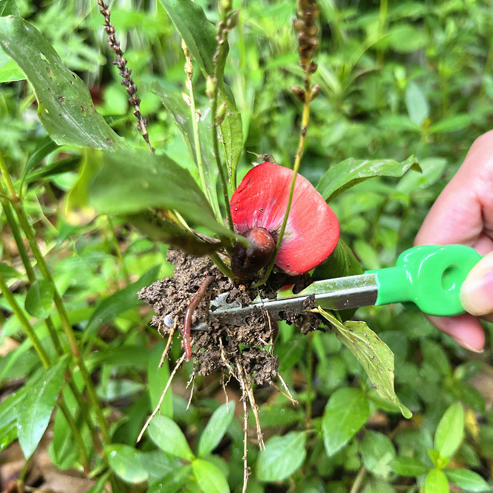 多肉植物や盆栽の植え付けに適したプロ仕様の園芸ピンセット、家 - Bonsai Garden Knife のレビューと価格
